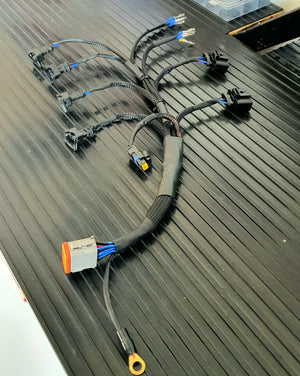 Clio 3 RS ecumaster full wiring stage 1 2 3
