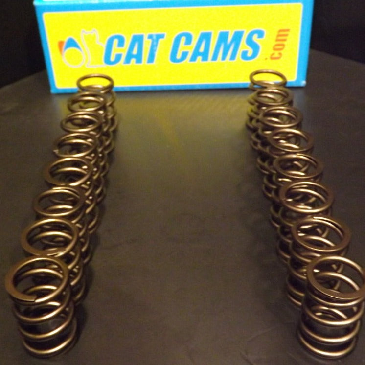 Catcams upgraded valve springs Megane 2 RS, Clio 2 RS, Megane 3 RS